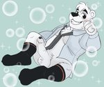 anthro balls black_nose clothed clothing erection fur genitals male necktie open_clothing open_shirt open_topwear penis shirt slightly_chubby solo topwear white_body white_fur tbid aggretsuko sanrio shirota_(aggretsuko) bear mammal polar_bear ursine 2020 hi_res