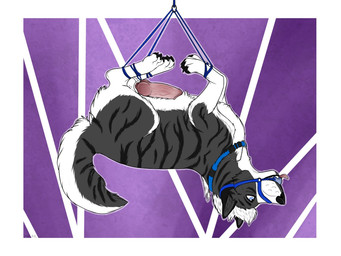 animal_genitalia animal_penis ball_gag bdsm bondage bound canine_genitalia canine_penis collar dominant feral gag genitals knot male master muzzle_(object) nude penis petplay roleplay slave solo submissive dolar akita canid canine canis domestic_dog mammal spitz 4:3