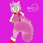 5_toes anthro barefoot colored_nails feet female foot_fetish foot_focus humanoid_feet nails plantigrade red_nails soles solo toes mananif sega sonic_the_hedgehog_(series) amy_rose eulipotyphlan hedgehog mammal 1:1 absurd_res hi_res