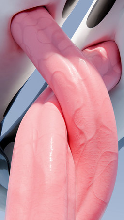 animal_genitalia animal_penis audible_throbbing big_penis cetacean_genitalia cetacean_penis close-up duo erection feral feral_on_feral frottage genital_close-up genital_size_difference genital_slit genitals glistening glistening_body glistening_genitalia glistening_penis glistening_skin heartbeat huge_penis long_penis male male/male multicolored_body penile penis penis_close-up penis_size_difference penises_touching pink_penis rubbing rubbing_penis rubbing_sound_effect sex size_difference tapering_penis throbbing throbbing_penis throbbing_urethra thrusting two_tone_body vein veiny_penis qubane korqa orqa aquatic cetacean dolphin mammal oceanic_dolphin orca toothed_whale 3d_(artwork) 3d_animation 4k 9:16 absurd_res animated blender_(artwork) digital_media_(artwork) hi_res loop short_playtime sound video