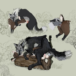 animal_genitalia animal_penis animal_vulva balls bite black_body black_claws black_pawpads blue_eyes bodily_fluids brown_body canine_genitalia canine_penis cervine_genitalia cervine_vulva chest_tuft claws cloven_hooves cunnilingus deer_ears deer_spots dewclaw dewclaw_hooves dipstick_tail dripping duo erection face_fucking face_mounting female female_penetrated feral feral_on_feral feral_penetrated feral_penetrating feral_penetrating_feral fur genital_fluids genitals grey_hair hair hooves interspecies irrumatio knot knotted_penis knotting looking_pleasured lying male male/female male_penetrating male_penetrating_female mane mane_hair markings multicolored_body multiple_angles nature nature_background neck_bite neck_tuft on_back oral oral_penetration pawpads penetration penile penile_penetration penis penis_in_mouth penis_in_vagina pink_nose predator/prey predator_penetrating_prey sex side_view spots spotted_body spotted_fur standing standing_sex tail tail_markings tuft two_tone_body underhoof vaginal vaginal_fluids vaginal_knotting vaginal_penetration whiskers jeffusherb nightdancer_(character) parfait_(nightdancer) canid canine canis deer mammal new_world_deer white-tailed_deer wolf 1:1 hi_res sketch_page