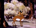 1940 20th_century 2d_animation 5:4 ancient_art animated anthro anthrofied bad_metadata biped breasts butt deer featureless_breasts female feral feral_to_anthro film_scenes forest frame_by_frame fur johnny_johnsen looking_at_viewer looney_tunes mammal merrie_melodies morphing no_sound nude plant pose quadruped short_playtime solo tex_avery traditional_media_(artwork) transformation tree warner_brothers webm white_body white_fur
