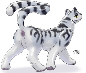 anus butt female feral genitals looking_back presenting presenting_anus presenting_hindquarters presenting_vulva raised_tail simple_background solo standing tail vulva walking yaboo felid mammal pantherine tiger absurd_res hi_res