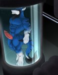 absurd_res anthro canid canine croiyan erection fur genitals hi_res laboratory laboratory_equipment male mammal muscular muscular_anthro muscular_male nude pecs penis scientific_instrument sergal simple_background solo tail thurui