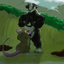 anthro balls black_body black_fur bodily_fluids brown_body brown_fur claws cloud duo frown fur genital_fluids genitals grass hair male male/male mouse_tail muscular navel nude nude_male outside penis plant shackled_wrists standing urine watersports white_body white_fur pandottermon badger mammal mouse murid murine mustelid musteline rodent 1:1 colored