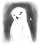 ambiguous_gender avian dawkz feral owl snowy_owl solo
Rating: Safe
Score: 0
User: Tauxiera
Date: July 24, 2012