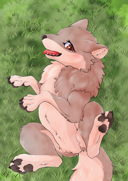 4_toes black_claws black_nose black_pawpads blush brown_body brown_fur cheek_tuft claws countershading day digitigrade facial_tuft fangs featureless_crotch feet female feral fluffy fur grass grey_body grey_fur looking_at_viewer lying multicolored_body multicolored_fur navel neck_tuft on_back open_mouth outside pawpads paws pink_tongue plant quadruped red_eyes red_tongue smile solo spread_legs spreading tail tan_body tan_fur teeth toe_claws toes tongue tongue_out tuft two_tone_body two_tone_fur fusau canid canine canis mammal wolf 2023 absurd_res detailed digital_media_(artwork) hi_res