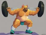 anthro balls_outline barbell belly biceps bodily_fluids bulge clothing detailed_bulge exercise footwear genital_outline grey_background jockstrap looking_at_viewer male musclegut muscular muscular_anthro muscular_male navel nipples overweight overweight_anthro overweight_male pecs shoes simple_background smile socks solo squats sweat underwear weightlifting workout conditional_dnp sinibun_95 pj_(pittiepj) canid canine canis domestic_dog mammal pit_bull 2021 hi_res