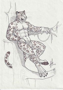 abs anthro bottomwear clothed clothing facial_spots feet glistening glistening_eyes in_tree loincloth looking_at_viewer male male_anthro markings mouth_closed muscular muscular_anthro muscular_male navel pecs plant soles solo spots spotted_face spotted_markings spotted_tail tail tail_markings topless tree whiskers hufnaar felid mammal 2017 absurd_res dated hi_res monochrome sketch