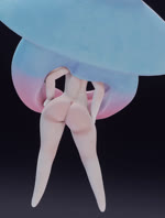 3d_(artwork) animated big_butt blender_(artwork) breasts butt clothing digital_media_(artwork) female generation_8_pokemon genitals hat hatterene headgear headwear hi_res humanoid nintendo no_sound pokemon pokemon_(species) pussy shaking_butt short_playtime small_breasts solo tradelt webm white_body