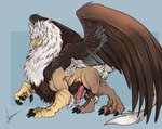 avian_feet blue_eyes brown_body brown_feathers brown_fur claws feathered_wings feathers feral fur male quadruped solo tail tail_tuft tuft white_body white_feathers wings vamp_arts capcom dragon's_dogma mythology avian gryphon mythological_avian mythological_creature 2024 hi_res