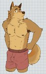 5_fingers abs anthro armpit_hair biped body_hair boxers_(clothing) brown_body brown_ears brown_eyebrows brown_fur brown_nipples bulge checkered checkered_background clothed clothing eyebrows fingers fur looking_at_viewer male male_anthro multicolored_body muscular muscular_anthro muscular_male navel neck_tuft nipples orange_eyes orange_inner_ear partially_clothed partially_clothed_male pattern_background raised_eyebrow red_clothing red_underwear simple_background solo standing tuft underwear whiskers white_background white_sclera unsafescapewolf in_case_of_emergency cedric_(in_case_of_emergency) canid canine canis coyote mammal 2024 digital_drawing_(artwork) digital_media_(artwork) hi_res portrait three-quarter_portrait