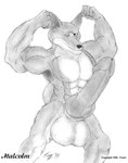 5_fingers abs animal_genitalia animal_penis anthro balls big_balls big_penis biped canine_genitalia canine_penis erection fingers fist flexing flexing_bicep flexing_biceps genitals glans huge_balls huge_penis humanoid_genitalia humanoid_hands humanoid_penis hybrid_genitalia hybrid_penis hyper hyper_balls hyper_genitalia hyper_penis knot knotted_humanoid_penis knotted_penis looking_at_viewer malcolm_(foxen) male muscular muscular_male nipples one_eye_closed penis sheath snout solo standing unsheathed wink winking_at_viewer foxen canid canine mammal 1999 graphite_(artwork) greyscale monochrome pencil_(artwork) portrait shaded three-quarter_portrait traditional_media_(artwork)