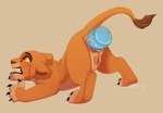 anal anal_penetration animal_genitalia animal_pussy anus ass_up bodily_fluids claws clenched_teeth clitoris dildo dildo_in_ass dildo_insertion feline_genitalia feline_pussy female female_penetrated feral feral_penetrated genitals huge_penetration object_in_ass painal penetration pussy raised_tail sex_toy sex_toy_in_ass sex_toy_insertion simple_background solo stretched_anus tail tears teeth young young_female young_feral hailberry disney the_lion_king kiara_(the_lion_king) felid lion mammal pantherine absurd_res hi_res