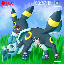3_fingers 3_toes all_fours anus ass_up backsack balls black_body black_fur black_nose blue_body blue_eyes blue_fur blush bodily_fluids camera_view clitoris cloud cum cum_in_vagina cum_inside cum_splatter detailed_background digitigrade doggystyle duo erection fangs feet female female_penetrated feral feral_on_feral fingers from_behind_position fur genital_fluids genitals grass humanoid_genitalia humanoid_vulva leg_markings looking_at_viewer male male/female male_penetrating male_penetrating_female markings no_sclera nude number open_mouth orgasm outside pawpads paws penetration penile penile_penetration penis penis_in_vagina plant raised_tail recording red_eyes red_sclera sex sky snout socks_(marking) spread_legs spreading sweat tail tears teeth text toes tuft vaginal vaginal_penetration vulva yellow_markings unknown_artist nintendo pokemon canid canine eeveelution generation_2_pokemon generation_4_pokemon glaceon mammal pokemon_(species) umbreon 1:1