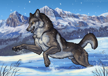 animal_genitalia black_claws black_nose black_pawpads brown_body brown_fur brown_tail cheek_tuft claws day detailed_background detailed_fur facial_tuft fangs feral fully_sheathed fur genitals glistening glistening_eyes grey_body grey_fur happy male male_feral mountain neck_tuft open_mouth outside pawpads playful sheath side_view snow snowing solo tail teeth text tuft whiskers white_body white_fur white_tail yellow_eyes heatherwolf canid canine canis mammal wolf detailed hi_res url