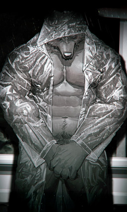 5_fingers abs anthro biped blush clothing covering covering_crotch embarrassed fingers fur genitals humanoid_hands male muscular muscular_anthro muscular_male navel nipples pecs penis pubes raincoat_only raining shy touching_crotch touching_penis translucent translucent_clothing neumokun canid mammal absurd_res hi_res