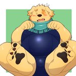 anthro begging begging_pose belly blush bulge clothing embarrassed fur male one-piece_swimsuit overweight overweight_male pawpads pose scarf solo swimwear yellow_body yellow_fur yaki_atsuage lifewonders tokyo_afterschool_summoners cu_sith_(tas) bird_dog canid canine canis domestic_dog golden_retriever hunting_dog mammal retriever 1:1 hi_res