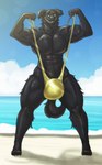 anthro beach big_bulge bikini black_body black_fur bulge clothing clothing_grab fangs front_view fur looking_at_viewer male mankini muscular muscular_male one-piece_swimsuit outside seaside sling_bikini smile solo spread_legs spreading strap_pull swimwear teeth two-piece_swimsuit yellow_clothing xtrent968 canid canine canis domestic_dog mammal 2018 hi_res