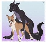 all_fours anthro anthro_on_feral anthro_penetrating anthro_penetrating_feral bestiality biped digitigrade doggystyle duo female female_on_anthro female_penetrated feral feral_penetrated from_behind_position fur interspecies larger_anthro larger_male male male/female male_on_feral male_penetrating male_penetrating_female nipples penetration quadruped sex simple_background size_difference smaller_female smaller_feral smaller_penetrated tail teats tongue tongue_out hybernation mythology sovy bull_terrier canid canine canis domestic_dog dragon hunting_dog mammal mythological_creature mythological_scalie scalie terrier 2016