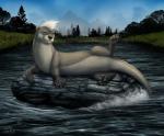 butt featureless_crotch feet feral fur green_eyes grey_body grey_fur looking_at_viewer male membrane_(anatomy) outside presenting presenting_hindquarters river rock seductive solo text toes water webbed_feet ltl twitch_otyolf mammal mustelid otter 2017 english_text hi_res