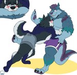 anthro blue_body blue_fur blush bottomwear clothed clothing cutaway duo face_in_chest fur grey_body grey_bottomwear grey_clothing grey_shorts hug male male/male moobs muscular muscular_anthro muscular_male purple_bottomwear purple_clothing purple_shorts red_eyes shorts simple_background tail tongue tongue_out tanukiednuki colby_(husky) yukon canid canine canis domestic_dog husky mammal nordic_sled_dog spitz wolf absurd_res hi_res