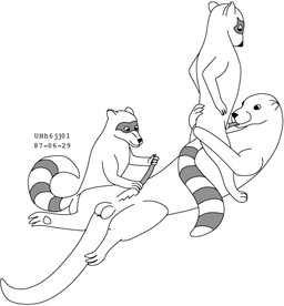animal_genitalia balls erection feral genitals group lying male male/male masturbation on_back oral sheath size_difference standing tail trio urbanhermit mammal mustelid otter procyonid raccoon 1987 dated greyscale monochrome