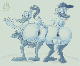 anthro anus areola areola_slip balls beak big_butt breasts butt butt_grab clothing crouching duo feathers female foreskin genitals hand_on_butt hat headgear headwear male male/female nipples non-mammal_balls non-mammal_breasts non-mammal_nipples non-mammal_vulva penis rear_view seductive tail toony vulva zyasixpear anatid anseriform avian bird duck muscovy_duck hi_res sketch