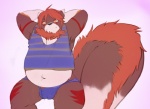 anthro armpit_hair belly body_hair bulge clothed clothing fluffy fur happy_trail male overweight overweight_anthro overweight_male solo tail tuft underwear wet indigofactory rhyzern canid canine mammal 2012