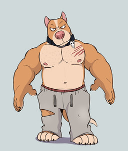 anthro barefoot belly biceps big_muscles black_collar blue_background body_hair bottomwear chest_hair chest_scar claws clothed clothing cocky cocky_grin collar collar_tag drawstring drawstring_bottomwear drawstring_clothing drawstring_pants feet fur grey_bottomwear grey_clothing grey_pants grey_sweatpants intimidation looking_at_viewer male manly muscular muscular_anthro muscular_male orange_body orange_fur pants pec_scar pecs pink_nose presenting presenting_body scar shadow showing_off_muscles simple_background skull_collar skull_collar_tag smile smiling_at_viewer smirk smirking_at_viewer solo sweatpants tail thick_arms thug topless topless_anthro topless_male torn_bottomwear torn_clothing torn_pants tough_guy syncrotrace archie_(syncrotrace) canid canine canis domestic_dog mammal pit_bull hi_res
