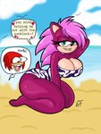 anthro beach big_breasts bite biting_lip breasts clothing female hair hand_behind_own_head kneeling magenta_body pink_hair red_body seaside solo swimwear thick_thighs bomba_world12 sega sonic_the_hedgehog_(series) sonic_underground awooga knuckles_the_echidna sonia_the_hedgehog eulipotyphlan hedgehog mammal 3:4 hi_res