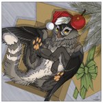 baubles border christmas_clothing christmas_headwear clothing feral fluffy fluffy_tail gift hat headgear headwear high-angle_view holidays looking_up male pawpads santa_hat smile solo tail white_border wings feathered_diva christmas mythology leif_(sand0x) avian bird gryphon mythological_avian mythological_creature owl bow_(disambiguation) 1:1 hi_res