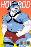 anthro bulge clothing harness male solo underwear sleepygreymutt canid canine fox mammal cover hi_res magazine_cover