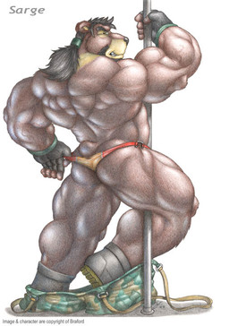 anthro biceps big_feet big_muscles biped black_hair boots bottomwear bottomwear_down brown_body brown_fur butt clothed clothing clothing_pull feet fingerless_gloves footwear fur gloves grin hair handwear huge_muscles looking_at_viewer looking_back male muscular muscular_anthro muscular_male pants pants_down partially_clothed pole rear_view shoes simple_background smile solo standing stripper teeth topless triceps underwear underwear_pull vein white_background braford sarge_(braford) bear brown_bear mammal ursine 2005 traditional_media_(artwork)