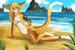 anthro beach blonde_hair brown_body brown_fur female fur hair hand_on_hip nude paws plant relaxing short smile standing sunbathing text theauroranarchive farfener the_farfener the_auroran_archives twokinds fan_character basitin mammal 3:2 absurd_res hi_res