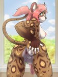 anthro anus blush breasts butt genitals gynomorph hand_on_butt intersex looking_back nipples penis solo spread_butt spreading tail dragon-chan ari_(kalofoxfire) hyena mammal hi_res