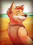 anthro beach black_nose brown_hair clothing fishnet_clothing fishnet_shirt fishnet_topwear fur green_eyes hair looking_at_viewer male neck_tuft orange_body orange_fur sand sea seaside shirt sky smile snaggle_tooth solo topwear tuft vignette water whiskers white_sky ventkazemaru echo_(series) echo_project the_smoke_room murdoch_byrnes canid canine fox mammal red_fox true_fox 2024 dated hi_res signature