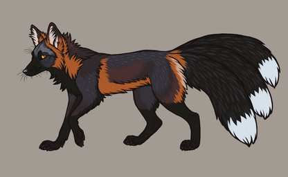 3_tails ambiguous_feral ambiguous_gender black_body black_claws black_fur black_nose black_tail cheek_tuft claws dipstick_tail facial_tuft feral fur grey_background grey_body grey_fur inner_ear_fluff looking_at_viewer markings mouth_closed multi_tail neck_tuft orange_body orange_fur quadruped side_view simple_background solo tail tail_markings tuft whiskers white_inner_ear_fluff white_tail yellow_eyes heatherwolf canid canine fox mammal detailed