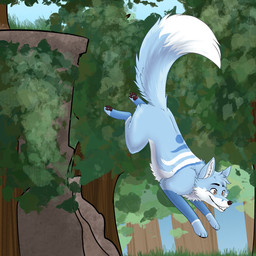 big_tail blue_body blue_fur feral fur jumping male solo tail white_body white_fur championwhoops_(artist) akito_(akitoe) canid canine fox mammal hi_res