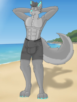 abs anthro balls beach big_balls big_bulge bottomwear bulge clothing eyewear genitals glasses male muscular muscular_anthro muscular_male sea shorts solo water hudi canid canine canis mammal wolf 3:4 absurd_res hi_res