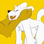 anthro bared_fangs biped blep cheek_tuft chest_tuft duo eyeless facial_tuft head_tuft holding_cheek knee_tuft leg_tuft male nude_anthro nude_male petting simple_background tongue tongue_out tuft yellow_background potvoheu2 canid canine canis mammal wolf 1:1 animated