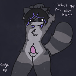 anthro balls bodily_fluids fluffy fluffy_tail fur genitals grey_body grey_fur hair male multicolored_body multicolored_fur navel nude penis pointy_ears snout solo sweat tail tuft fizzy_pop_ex ash_(fizzy_pop) mammal procyonid raccoon 1:1 hi_res nonbinary_(lore)