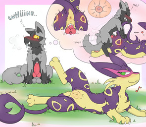 animal_genitalia animal_penis anus balls blood blush bodily_fluids breath canine_genitalia canine_penis claws cum cum_in_vagina cum_inside daydream doggystyle drooling duo erection fantasy female feral feral_on_feral feral_penetrated feral_penetrating feral_penetrating_feral from_behind_position genital_fluids genitals grass green_eyes grey_body heart_symbol humanoid_genitalia humanoid_genitalia_on_feral humanoid_vulva humanoid_vulva_on_feral impregnation knot male male/female ovum paws penetration penis pent_up plant presenting presenting_vulva purple_body saliva scratch_mark scratching sex simple_background smile sound_effects sperm_cell teasing tempting text vaginal vaginal_penetration vulva fluorings nintendo pokemon generation_3_pokemon generation_5_pokemon liepard pokemon_(species) poochyena hi_res