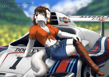 5_fingers anthro black_nose boots bottomwear breasts brown_body brown_fur clothed clothed_anthro clothed_female clothing female fingers footwear fur humanoid_hands navel outside race_car shirt shoes sitting skirt smile solo tail text topwear white_body white_fur 6eyesandhooves canid canine canis domestic_dog mammal hi_res signature url
