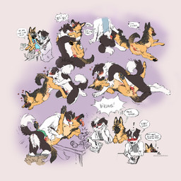 anatomically_correct animal_genitalia animal_penis animal_vulva anthro anthro_on_feral anthro_penetrating anthro_penetrating_feral anus backsack balls bestiality blush butt canine_genitalia canine_penis canine_vulva caught_in_the_act clothing coat cunnilingus daydream dialogue duo embarrassed exclamation_point eyewear feet fellatio female female_on_anthro female_penetrated feral feral_penetrated french_kissing from_front_position furniture genitals glasses heart_symbol hindpaw intraspecies intraspecies_bestiality kissing knot knotting lab_coat laboratory lying male male/female male_on_feral male_penetrating male_penetrating_female missionary_position on_back on_table open_mouth oral paws penetration penile penile_penetration penis penis_in_vagina presenting presenting_hindquarters presenting_vulva quadruped romantic romantic_sex sex surprised table talking_feral text tongue tongue_out top_hole topwear vaginal vaginal_penetration vulva leafhoof ada_(scruffyote) niklaus border_collie canid canine canis collie domestic_dog german_shepherd herding_dog mammal pastoral_dog sheepdog 1:1 2020 english_text hi_res sequence sketch_page