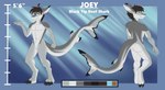 abstract_background anthro blue_eyes brown_hair dipstick_ears ear_markings fish front_view grey_body hair joey_(dansharkman) male marine model_sheet mouth_closed multicolored_ears nude rear_view shark short_hair solo standing tiggybloom white_body