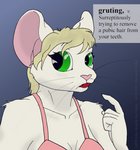 anthro blonde_hair bra breasts cleavage clothed clothing definition female fur green_eyes grey_background hair simple_background solo text tongue underwear whiskers white_body white_fur cybercorn_entropic the_meaning_of_liff cynthia_boggs mammal mouse murid murine rodent english_text