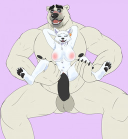 5_fingers anthro anthro_on_anthro anthro_penetrated anthro_penetrating anthro_penetrating_anthro balls black_nose black_pawpads breasts chair_position claws duo eyes_closed feet female female_penetrated finger_claws fingers from_behind_position fur genitals grin hindpaw humanoid_hands interspecies larger_male looking_pleasured male male/female male_penetrating male_penetrating_female mature_anthro mature_male multicolored_body multicolored_fur musclegut muscular muscular_anthro muscular_male narrowed_eyes navel nipples nude nude_anthro nude_female nude_male open_mouth open_smile pawpads paws penetration penile penile_penetration penis penis_in_vagina seductive sex shallow_penetration size_difference smaller_female smaller_penetrated smile spread_legs spreading teeth toe_claws toes tongue vaginal vaginal_penetration vulva white_body white_fur cupcake2007 disney zootopia arctic_fox_masseuse_(zootopia) koslov_(zootopia) arctic_fox bear canid canine fox mammal polar_bear true_fox ursine hi_res