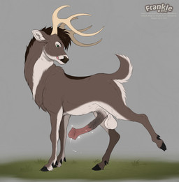 anatomically_inaccurate animal_genitalia animal_penis antlers balls big_balls big_flare bodily_fluids dripping equine_genitalia equine_penis erection feral flared_penis genital_fluids genitals grass hooves horn male medial_ring mismatched_animal_penis mismatched_genitalia mismatched_penis penis plant precum precum_drip quadruped saggy_balls sheath solo fenn.perrox foelan deer mammal hi_res