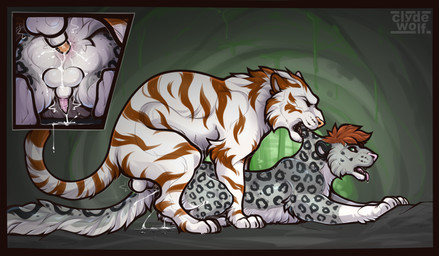 anal anal_penetration anus backsack balls bite bodily_fluids butt claws countershade_torso countershading cum cum_in_ass cum_inside duo erection feet feral feral_on_feral feral_penetrated feral_penetrating feral_penetrating_feral fur genital_fluids genitals lying male male/male male_penetrated male_penetrating male_penetrating_male on_front penetration penile penile_penetration penis penis_in_ass scruff_bite sex spots stripes tail teeth toes tongue clyde_wolf felid leopard mammal pantherine tiger 2026 digital_drawing_(artwork) digital_media_(artwork) hi_res